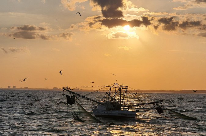 Sunset Cruise Fort Lauderdale  Premium Experience-Skyline Views - Weather Considerations and Cancellation Policies