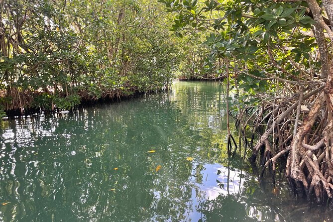 SUNSET CRUISE in Key Largo,FL. - The Experience of a Private Sunset with KEY LARGO BOAT CHARTERS