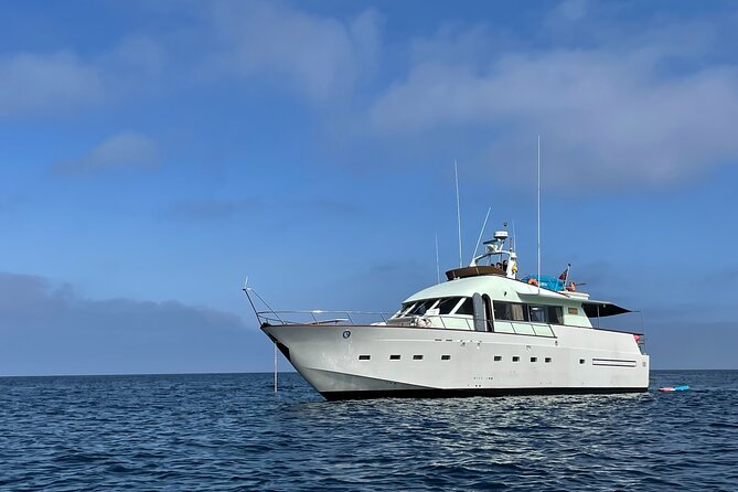 Sunset Cruise Lisbon | VIP Yacht Lisbon Party - The Experience in Practice: What to Expect on Board