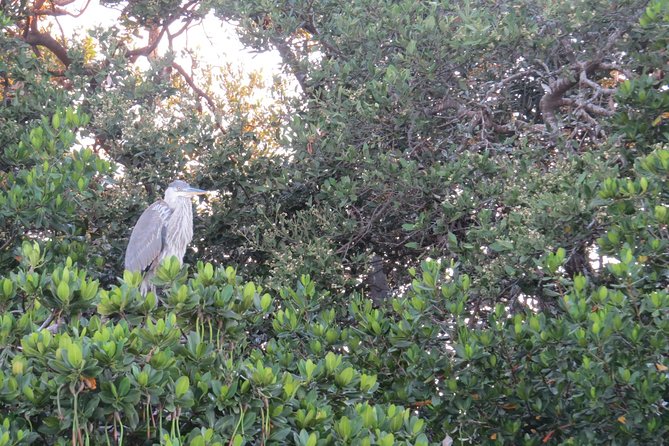 Sunset Cruise over the Gulf of Mexico - Timing and Pacing of the Sunset Trip