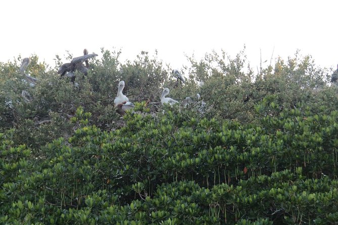 Sunset Cruise over the Gulf of Mexico - Booking and Best Time to Reserve