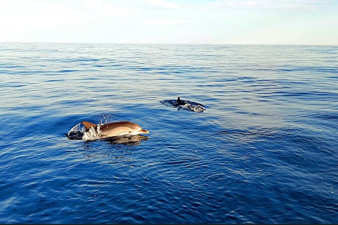 Sunset Cruise Taormina Private - Capo Taormina’s Rocky Seabed and Marine Life