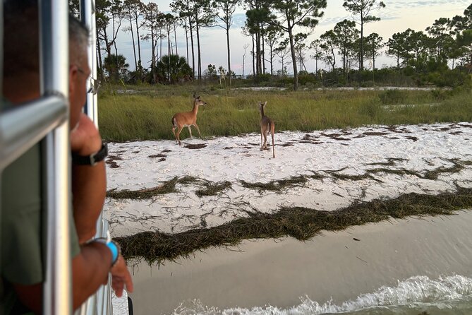 Sunset Cruise with Good Jibez Only in Panama City Beach - Handling Weather and Cancellations
