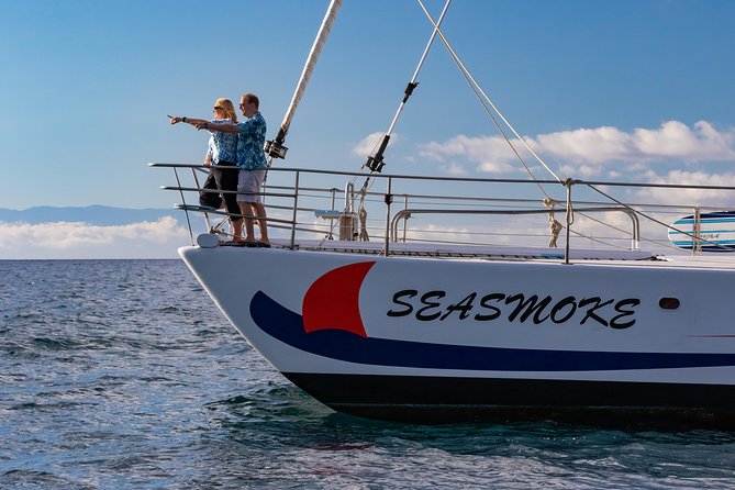 Sunset Cruise with the Whales from Anaeho'omalu Bay - Group Size and Booking in Advance