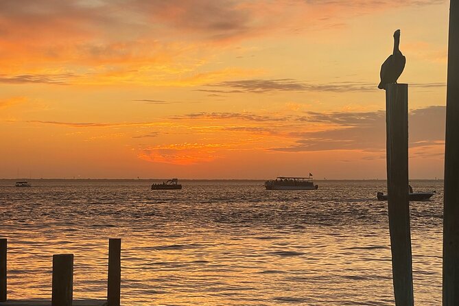 Sunset Dolphin Cruise - The Sunset Views and Photographic Opportunities