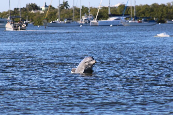 Sunset Dolphin Cruise with Sanibel Lighthouse Views - Exciting Sunset Dolphin Cruise with Scenic Lighthouse Views in Fort Myers