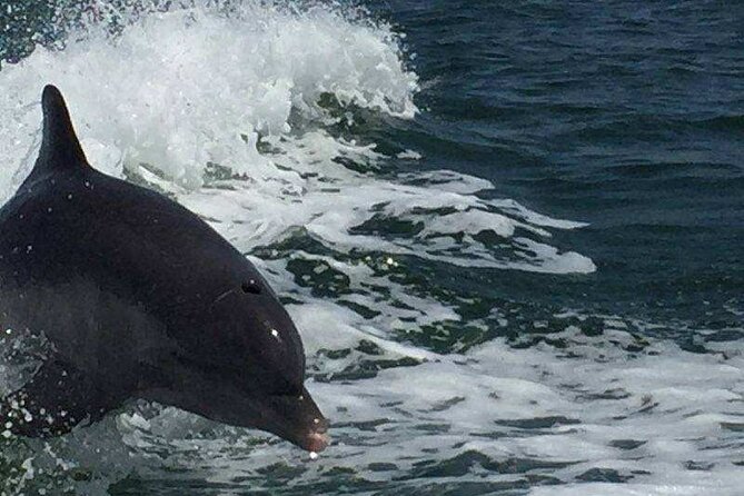 Sunset Dolphin Cruise with Sanibel Lighthouse Views - Beverages and Amenities Onboard