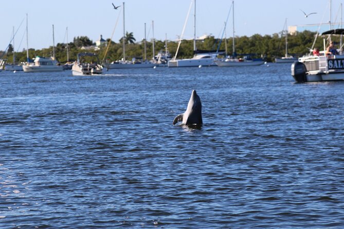 Sunset Dolphin Cruise with Sanibel Lighthouse Views - Crew and Guide Quality