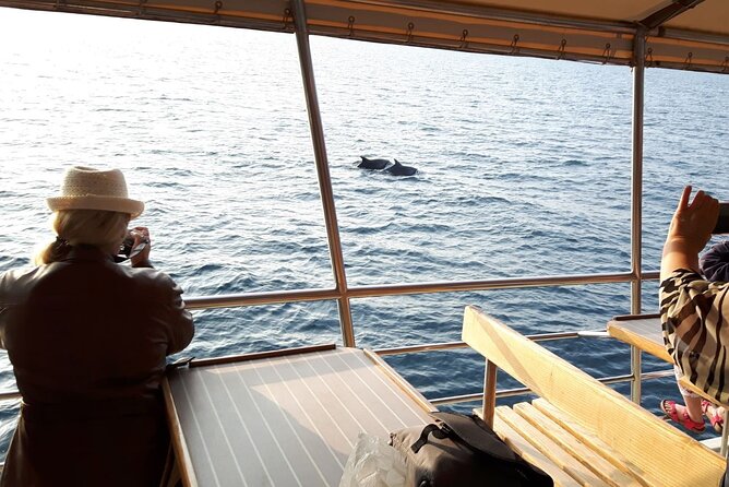 Sunset Dolphin Watching Boat Tour from Vrsar - Dolphin Watching Experience: Brief but Memorable