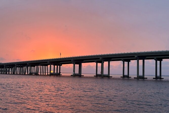 Sunset Dolphin Watching Tour - Up Close Dolphin Encounters and Marine Life Sightings