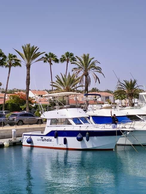 Sunset Dolphin Watching Tour on Hybrid Boat in Small Group - Sunset Dolphin Watching Tour on Hybrid Boat in Small Group