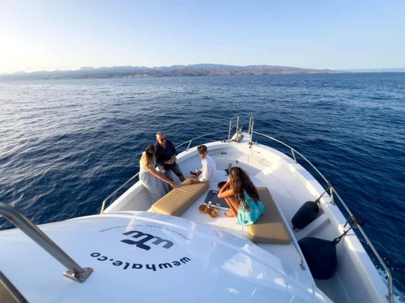 Sunset Dolphin Watching Tour on Hybrid Boat in Small Group - The Itinerary and Scenic Highlights of the Coastline