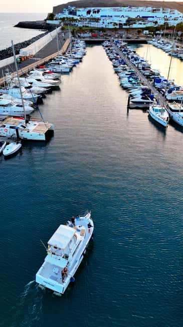 Sunset Dolphin Watching Tour on Hybrid Boat in Small Group - Practical Details and Tips for a Smooth Trip