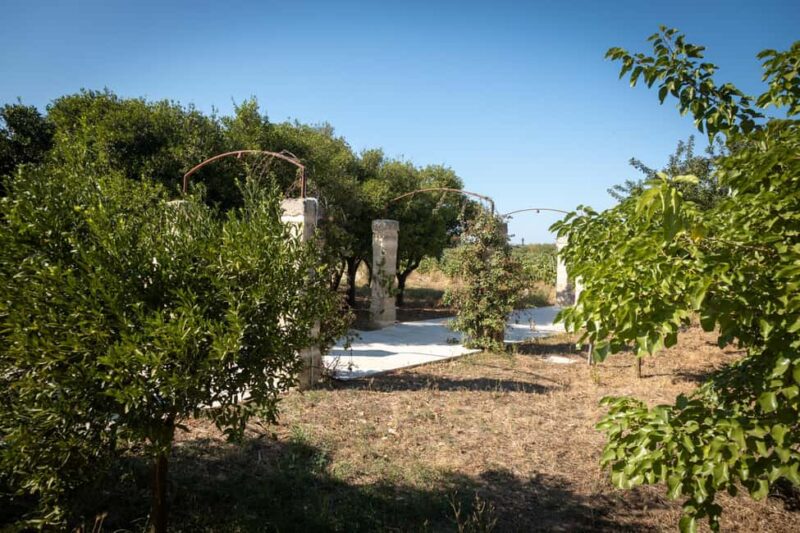 Sunset Escape in Lecce: Vineyard Picnic with Wine Tasting - Timing, Pacing, and Physical Requirements