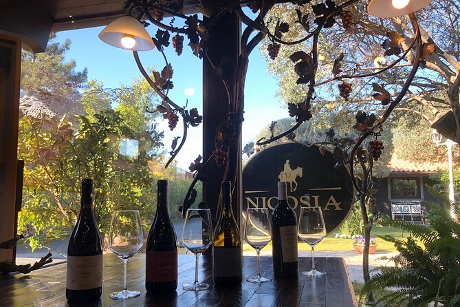 Sunset Etna & Wine  Private Experience - Practical Details: Meeting Point, Duration, and Accessibility