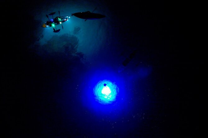 Sunset/Glow Clear Kayak Tour in Olowalu - What’s Included in the Experience