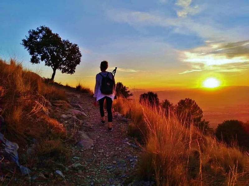 Sunset Hike & Summit Sierra Nevada with pup - Discover the Sunset Hike & Summit Sierra Nevada with Pup in Andalusia