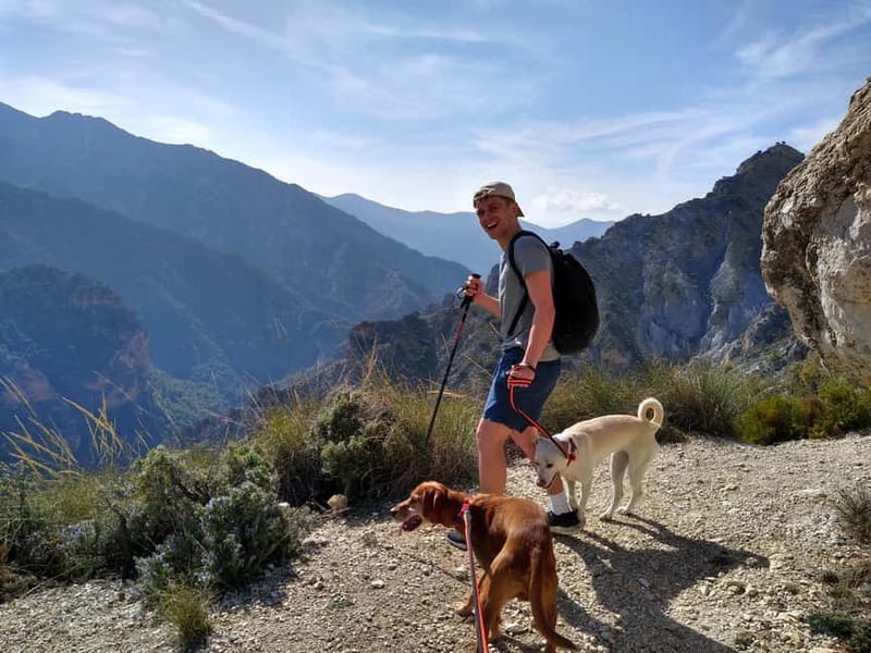 Sunset Hike & Summit Sierra Nevada with pup - Final Ascent to the Summit & Scenic Views