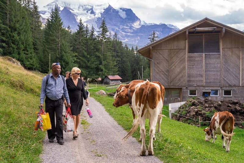 Sunset Hike with Cheese Fondue in Wengen - Practical Details: Meeting Points, Inclusions, and What to Bring