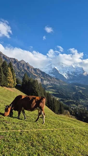 Sunset Hike with Cheese Fondue in Wengen - The Guide and Tour Experience