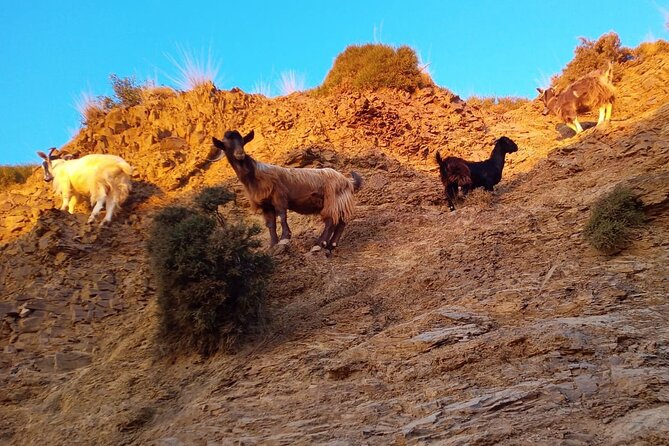 Sunset Jeep Tour in Crete - Watching the Sunset at Karfi
