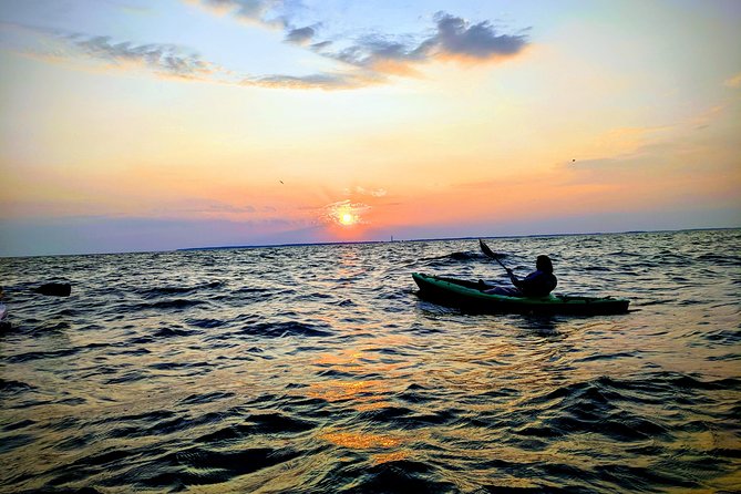 Sunset Kayak Tour - The Experience of Wildlife and Scenic Views