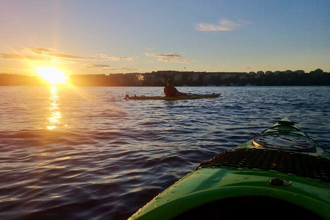 Sunset Kayak Tour in Central Stockholm and Swedish Fika - Optional Lake Mälaren Swim for a Refreshing Break