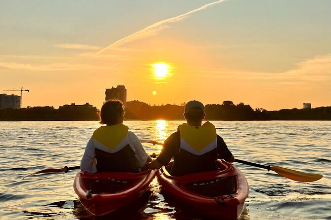 Sunset Kayak Tour in Downtown Ottawa and Gatineau - Logistics: Meeting Point, Timing, and Group Size