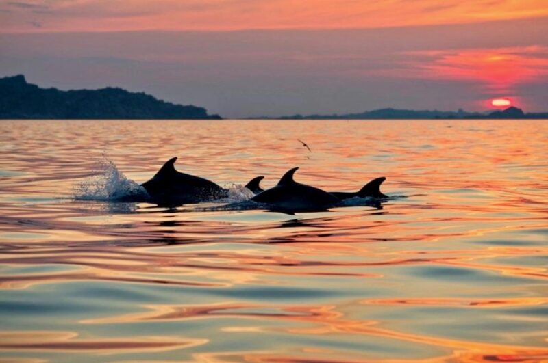 Sunset Kayak Tour + Snorkeling and Local Aperitif - Practical Details: What to Bring and Pacing