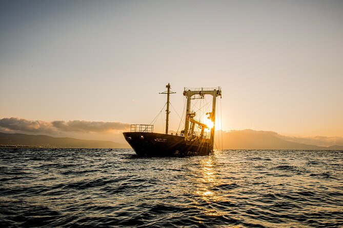 Sunset Kayak Tour to Kissamos Bay Shipwreck & Exclusive Beach - Key Points