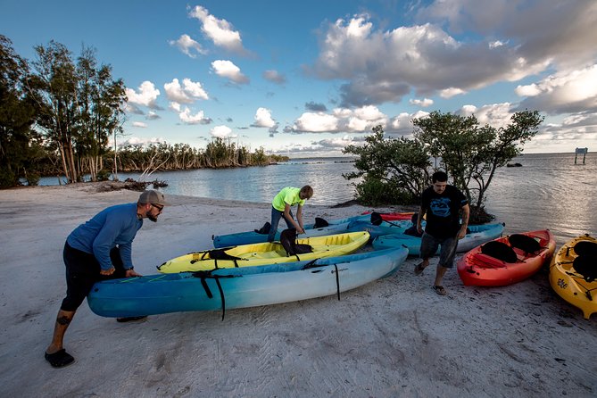 Sunset Kayaking - Wildlife Refuge (Titusville) - Wildlife Encounters: Dolphins, Manatees, and Birds