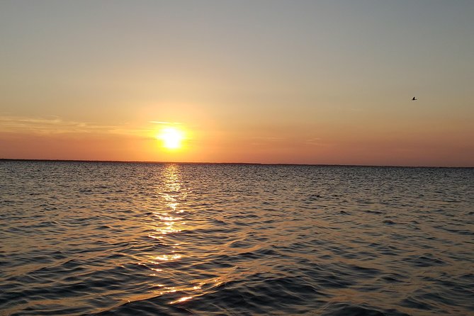 Sunset Kayaking - Wildlife Refuge (Titusville) - The Role of Guides: Expert, Friendly, and Informative