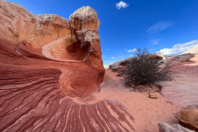 Sunset Off-Road White Pocket Guided Hike Activity - Small Group - The Value of a Small Group Adventure