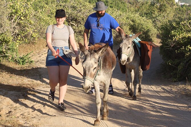 Sunset Pacific Donkey Hiking Tour - Logistics and Practical Tips