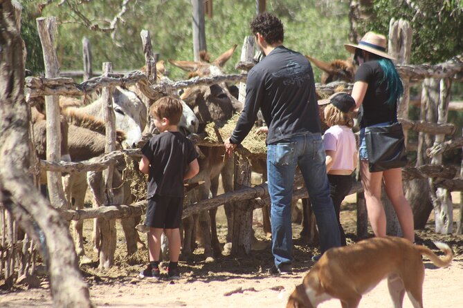 Sunset Pacific Donkey Hiking Tour - Upgrading to a Private Group and Self-Guided Hike