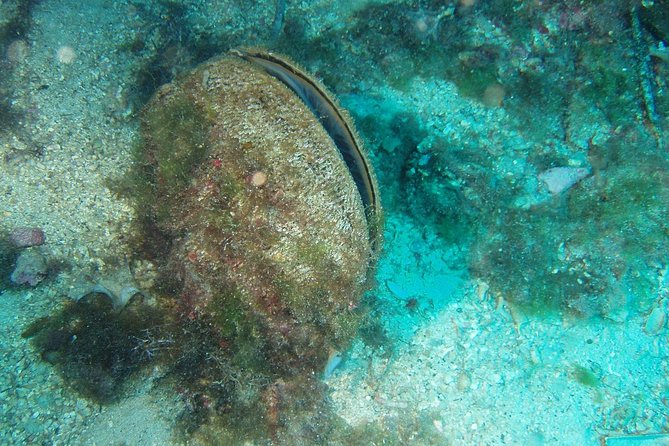 Sunset panorama & swimming with a fishes - Expert Guides and Friendly Service