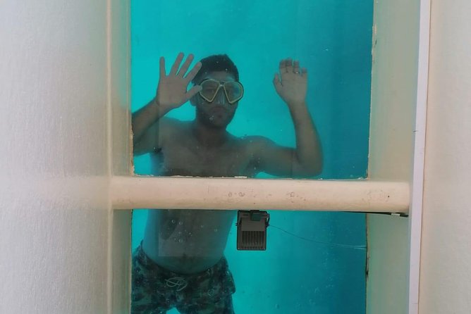 Sunset panorama & swimming with a fishes - Optimal Timing for Sunset and Wildlife