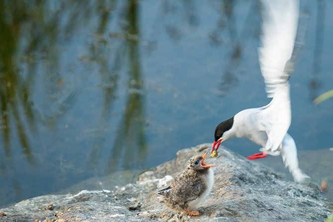 Sunset Photo Safari - Expert-Guided Photography Tips and Personal Assistance