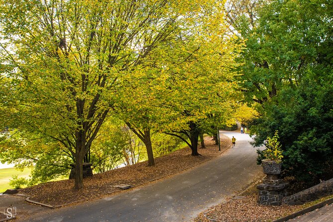 Sunset Photography Tour of Piedmont Park Atlanta - Practical Details and Included Amenities