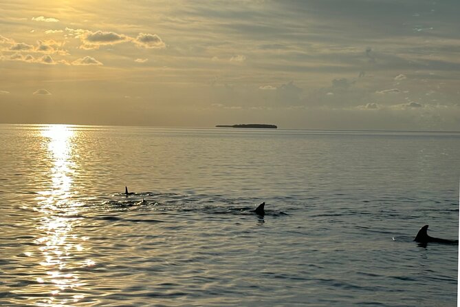 Sunset Powerboat Cruise - Weather and Cancellation Policies