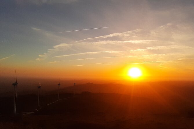 Sunset Safari 4H - Accessibility and Customer Support