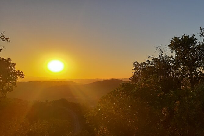 Sunset Safari 4H - Comparing Similar Experiences in Portimao