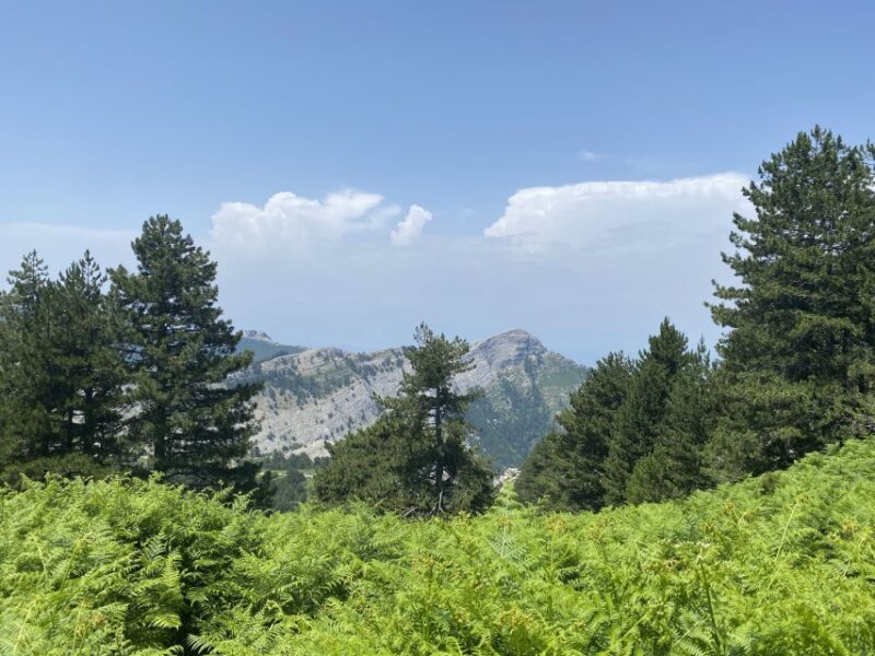 Sunset Safari in Thassos with free refill prosecco & fruits - Sunset from the Highest Peak of West Thassos