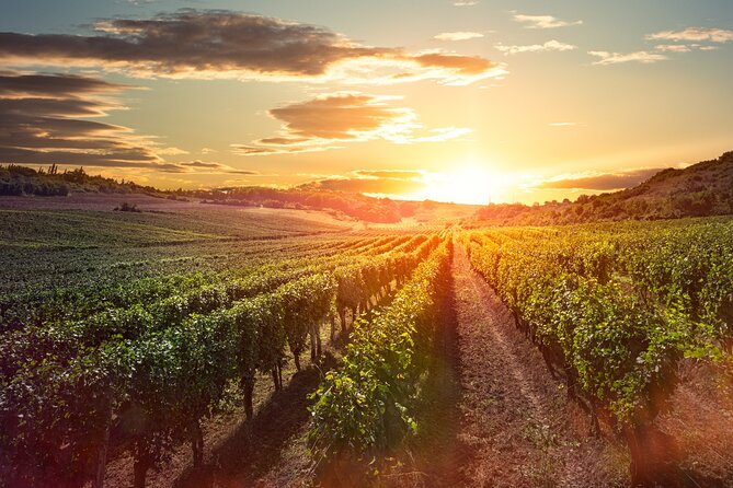 Sunset Sip Wine Tour - Costs, Value, and What’s Not Included