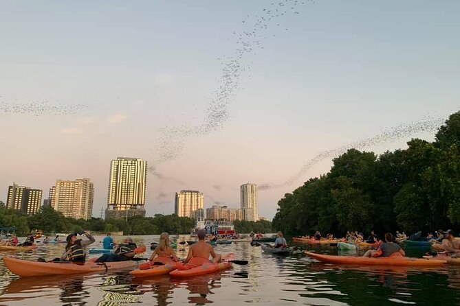Sunset Skyline Kayak Tour - The Role of the Guide and Safety Measures