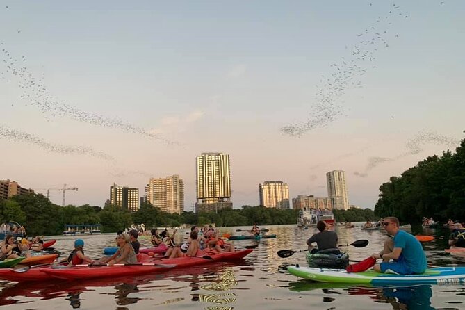 Sunset Skyline Kayak Tour - Physical Requirements and Accessibility