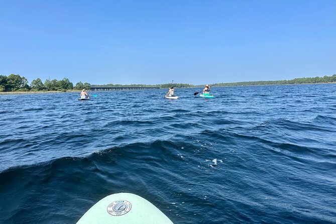 Sunset, Stand Up Paddle and Sip - Sunset Paddleboarding: What You Can Expect During the Experience