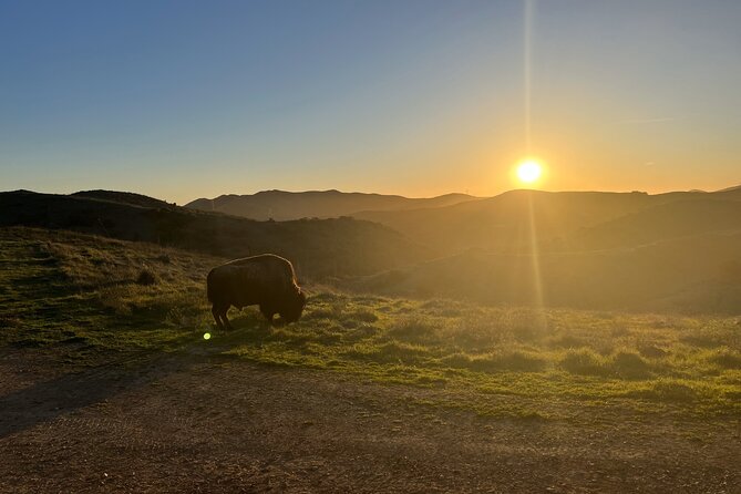 Sunset Summit Catalina Island Shared Tour - Exploring the Less-Visited Interior Areas of Catalina