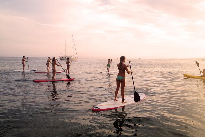 Sunset SUP Tour in Marbella - Key Points