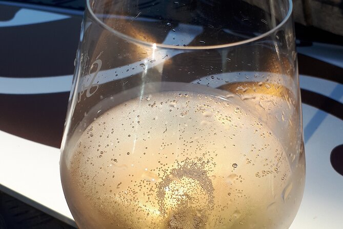 Sunset tasting sunset in the champagne vineyards - Practical Details: Logistics and Accessibility